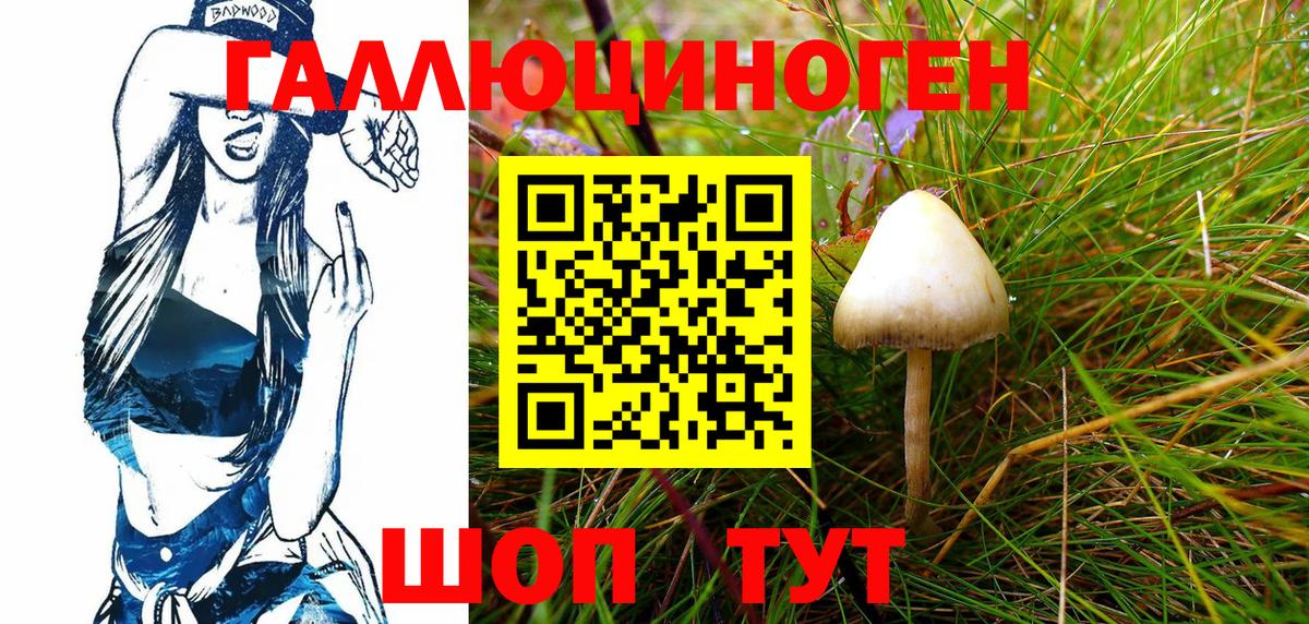 Галлюциногенные грибы Cubensis Камышлов